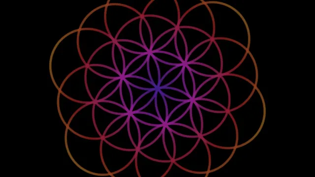 Visual generado por RAVEN VJ: Flor de Vida